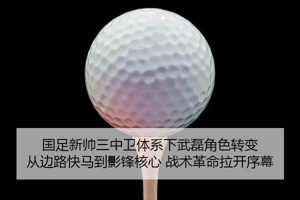 guo-zu-xin-shuai-san-zhong-wei-ti-xi-xia-wu-lei-jue-se-zhuan-bian-cong-bian-lu-kuai-ma-dao-ying-feng-he-xin-zhan-shu-ge-2-456.jpg